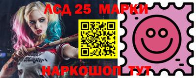 индика Ефремов