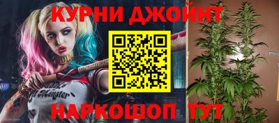 индика Ефремов