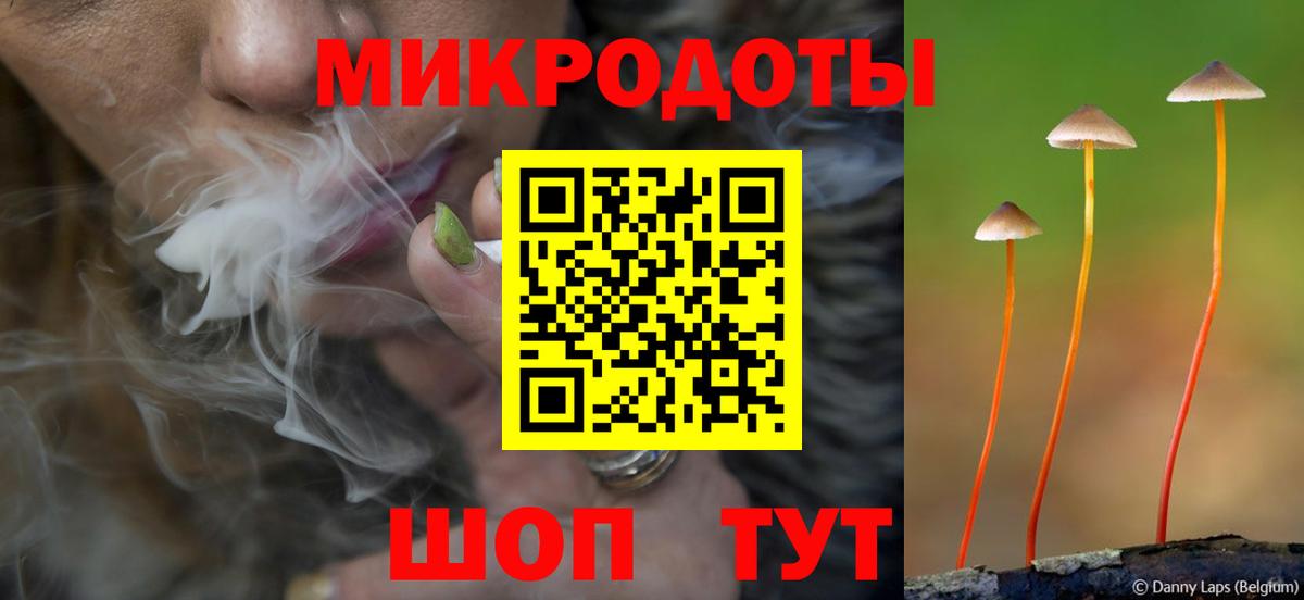 Севастополь  Псилоцибиновые грибы мухоморы  Вход с VPN 